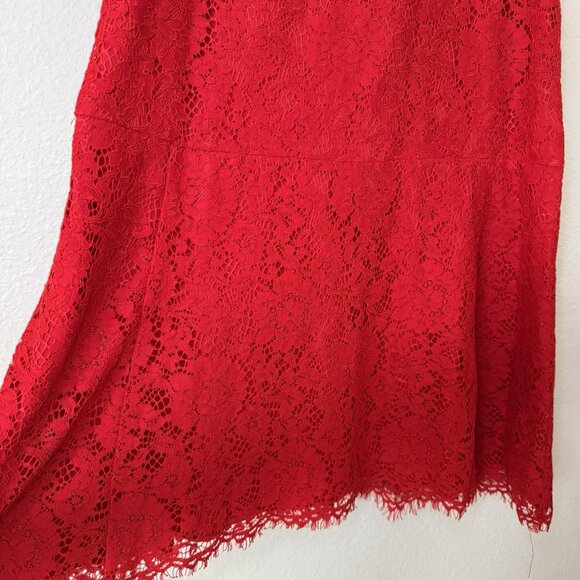 Ann Taylor LOFT Size 8 Red Lace Fit and Flare Sleeveless Dress Valentines - Picture 4 of 9